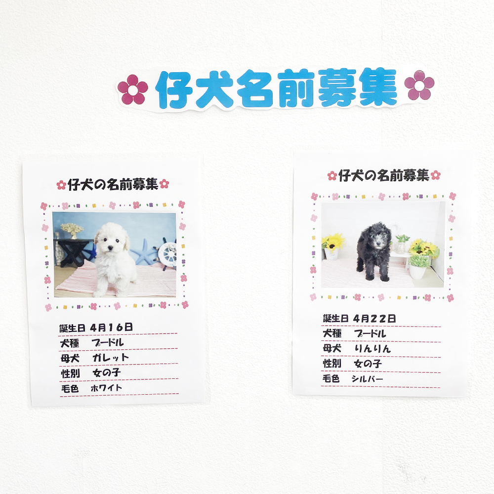 校内の掲示物
